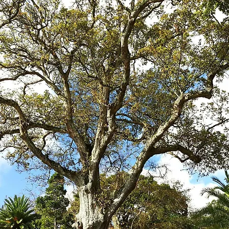 Casa Do Jardim Hotel 2*