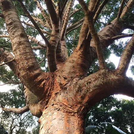 Hotel Casa Do Jardim Ponta Delgada