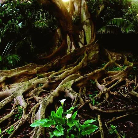 Hotel Casa Do Jardim