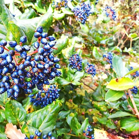 Casa Do Jardim Hotel