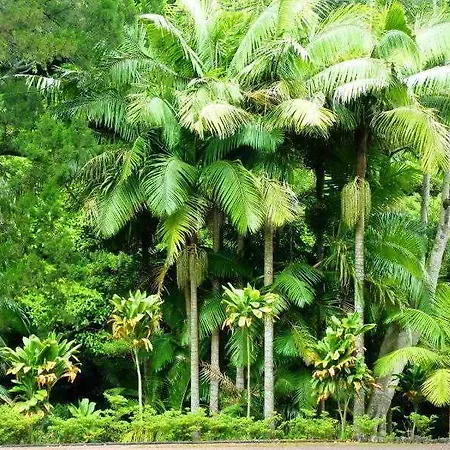 Hotel Casa Do Jardim Ponta Delgada