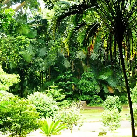 Casa Do Jardim