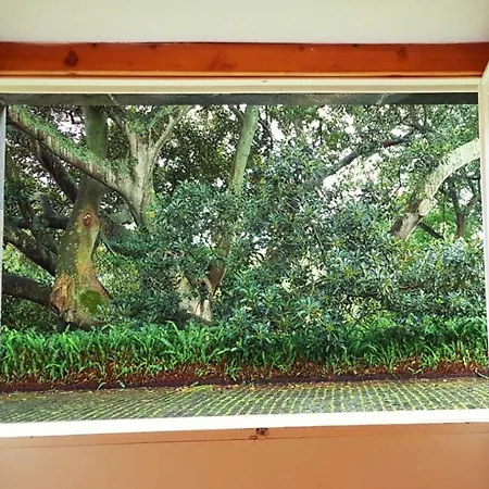 Hotel Casa Do Jardim Ponta Delgada