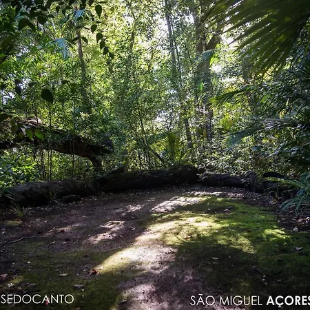 Hotel Casa Do Jardim