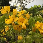 Casa Do Jardim ホテル 2*