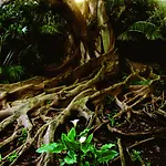 ホテル Casa Do Jardim