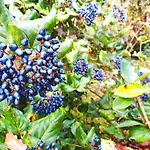 Casa Do Jardim ホテル