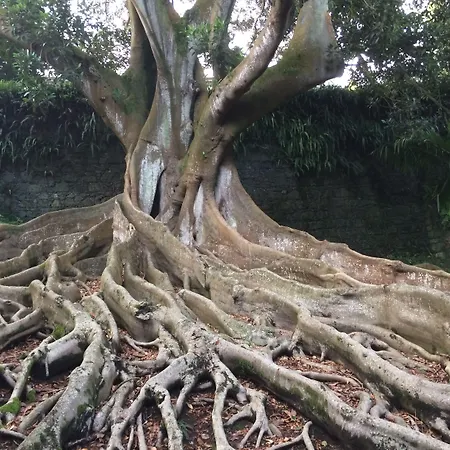 Casa Do Jardim מלון 2*