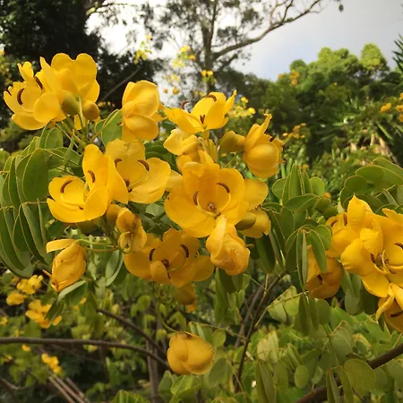 Casa Do Jardim Hotel 2*