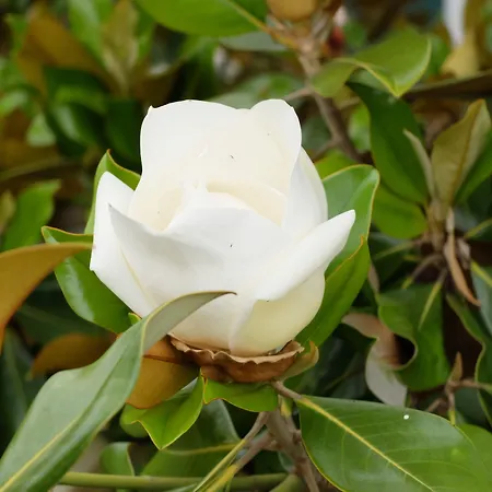 Hotel Casa Do Jardim 2*