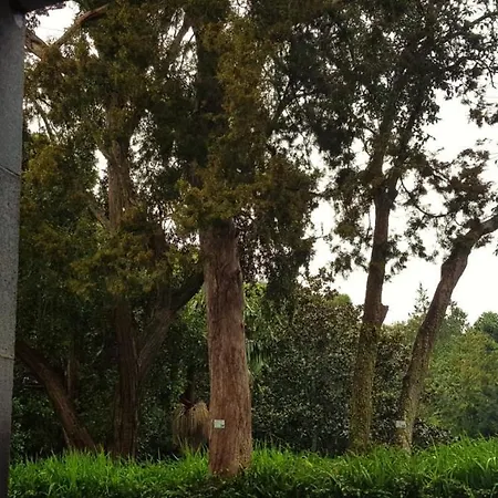 فندق Casa Do Jardim 2*