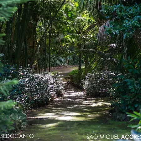 Casa Do Jardim