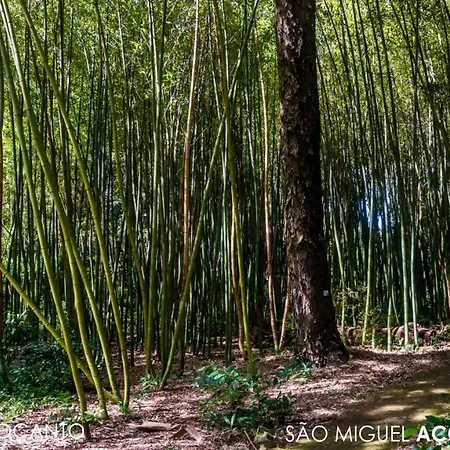 Hotel Casa Do Jardim