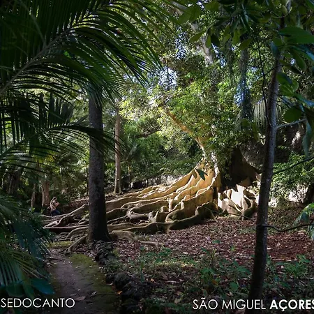 فندق Casa Do Jardim 2*