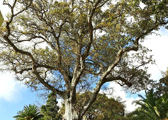 Casa Do Jardim Hotel 2*