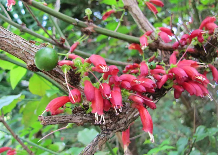 Casa Do Jardim Hotel 2*