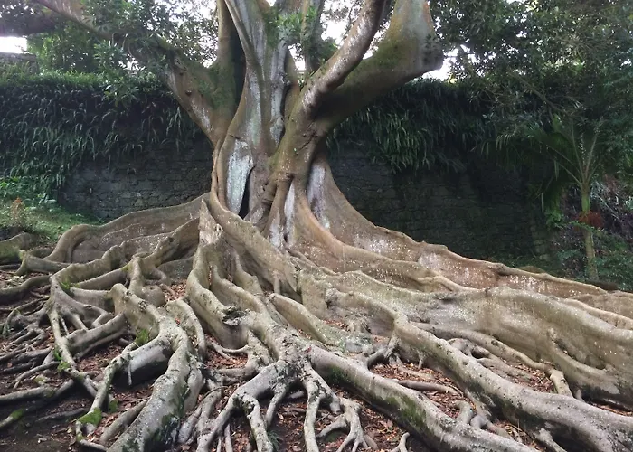 Casa Do Jardim Otel 2*