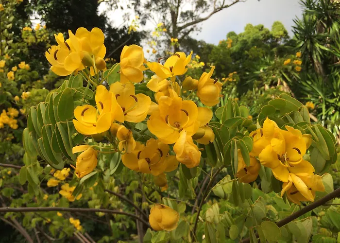 Casa Do Jardim Hotel 2*