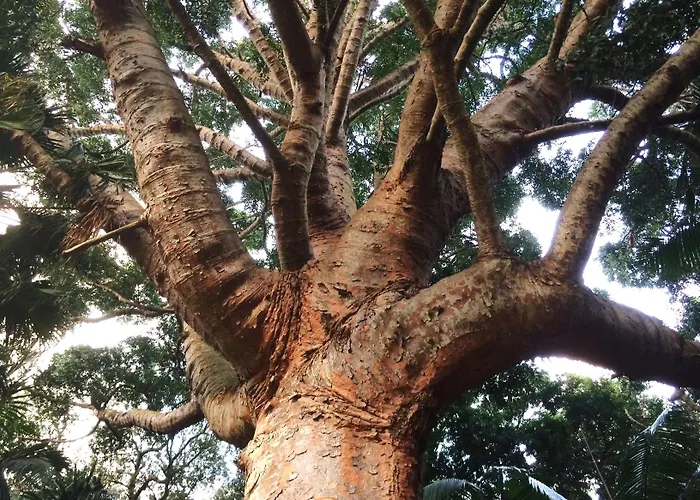 Hotel Casa Do Jardim Ponta Delgada