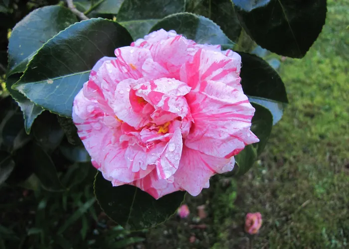 Hotel Casa Do Jardim 2*