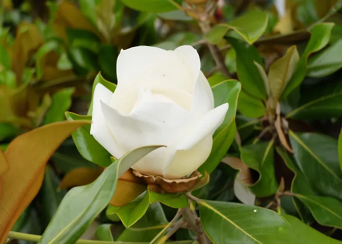 Hotel Casa Do Jardim 2*