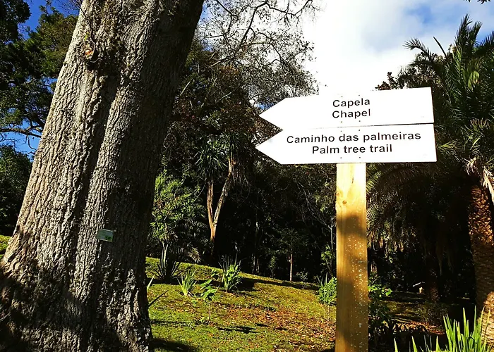 Casa Do Jardim Ponta Delgada