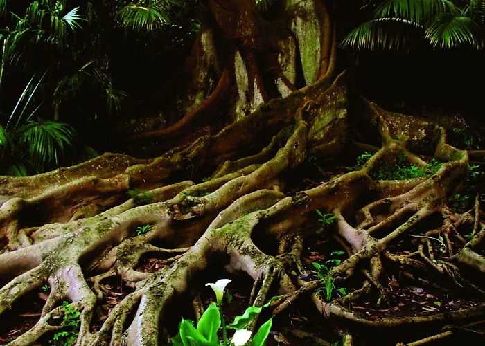 Hotel Casa Do Jardim