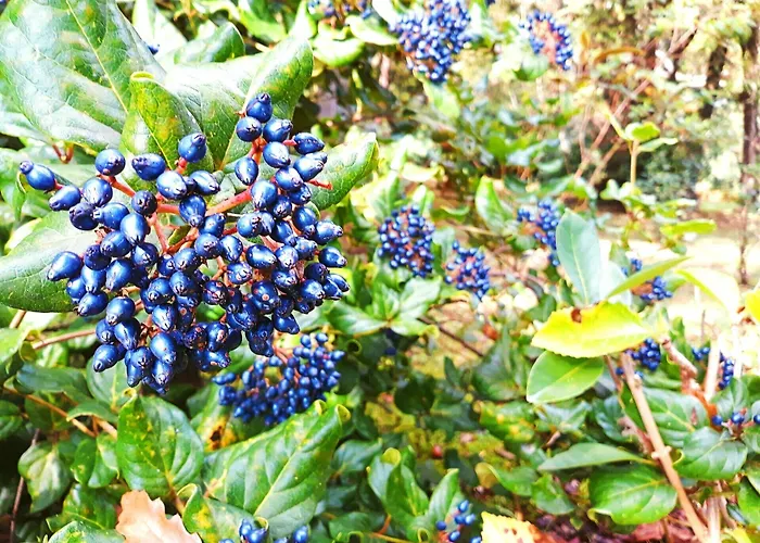 Casa Do Jardim Hotel