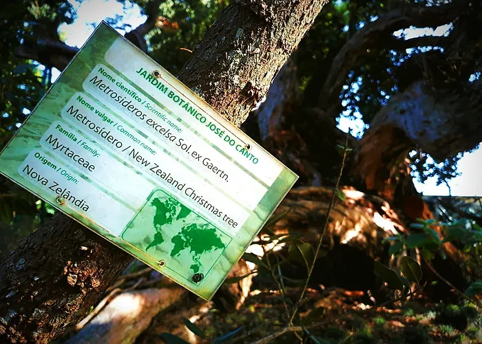 Otel Casa Do Jardim 2*