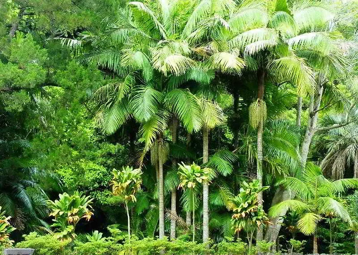 Otel Casa Do Jardim Ponta Delgada