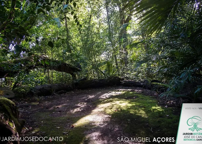 Hotel Casa Do Jardim