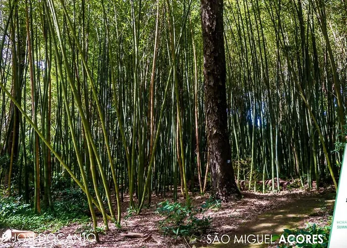 Hotel Casa Do Jardim